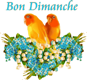 Gif animé Bon dimanche oiseaux